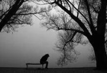 СЫНАҚТА СЫНБА!